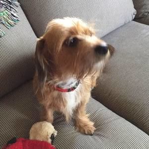 Meet your Posher, Tina